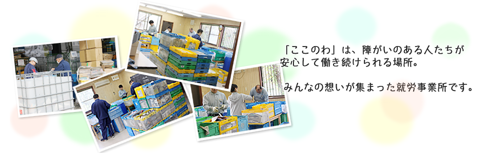 ここのわ　求人